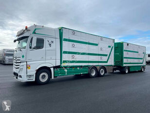 tovornjak za prevoz živine Mercedes-Benz Actros 2563 + prikolica za prevoz živine