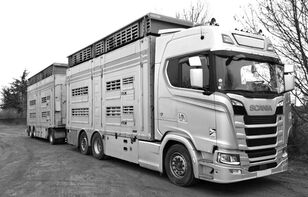 tovornjak za prevoz živine Scania S650 for cattle - do zwierzat + prikolica za prevoz živine