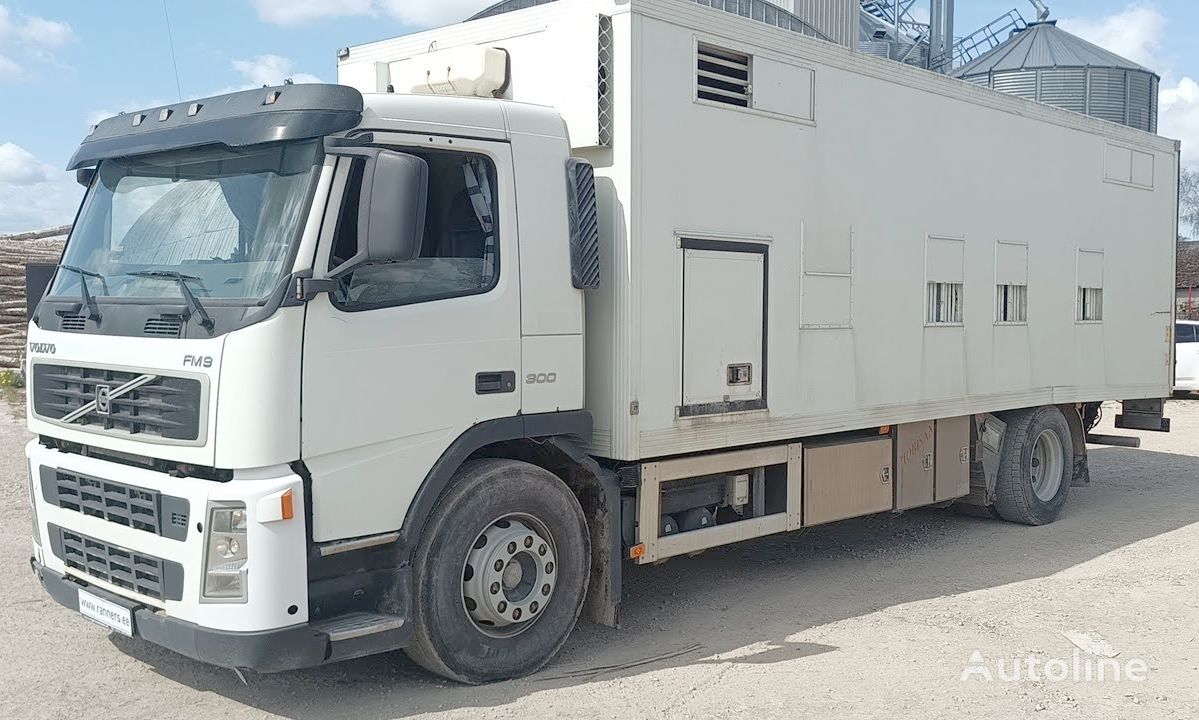 tovornjak za prevoz živine Volvo FM9 300 4x2 livestock truck